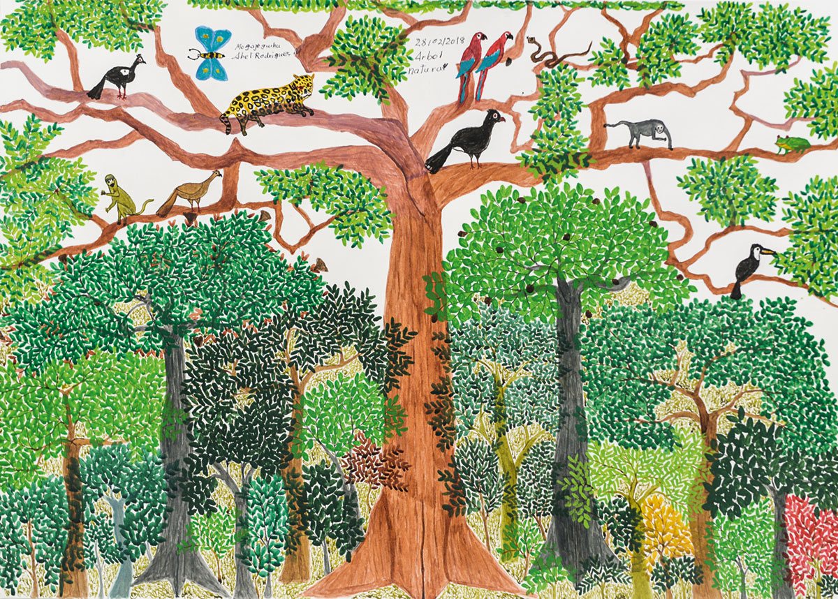 Gran árbol amazónico dibujado por Abel Rodríguez, con jaguar, guacamayos, monos y aves entre las ramas, sobre un bosque de copas verdes