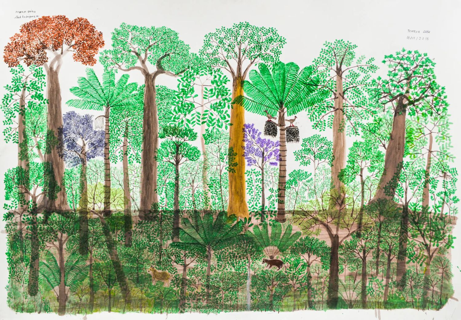 Bosque amazónico de terraza alta dibujado por Abel Rodríguez: decenas de árboles de distintas especies, palmas, un árbol de flor naranja y otro violeta, con aves y mamíferos entre la maleza
