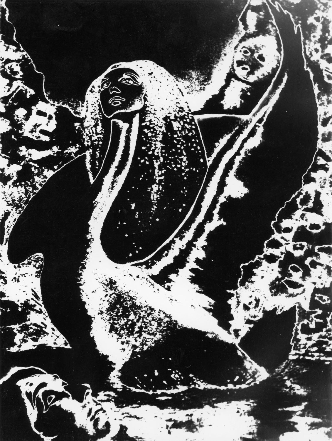 Il cigno kosmico, de Isabel Matoses