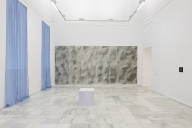 Sala con cortinas azul claro y una gran fotografía granulada en la pared