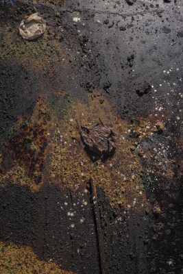 Segunda obra de Leandro Pesantes en Astrarium