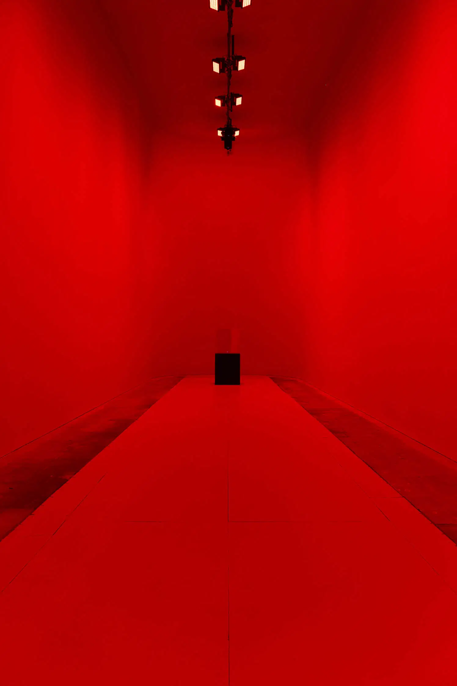 Pabellón Central de los Giardini, 61ª Bienal de Venecia 2026